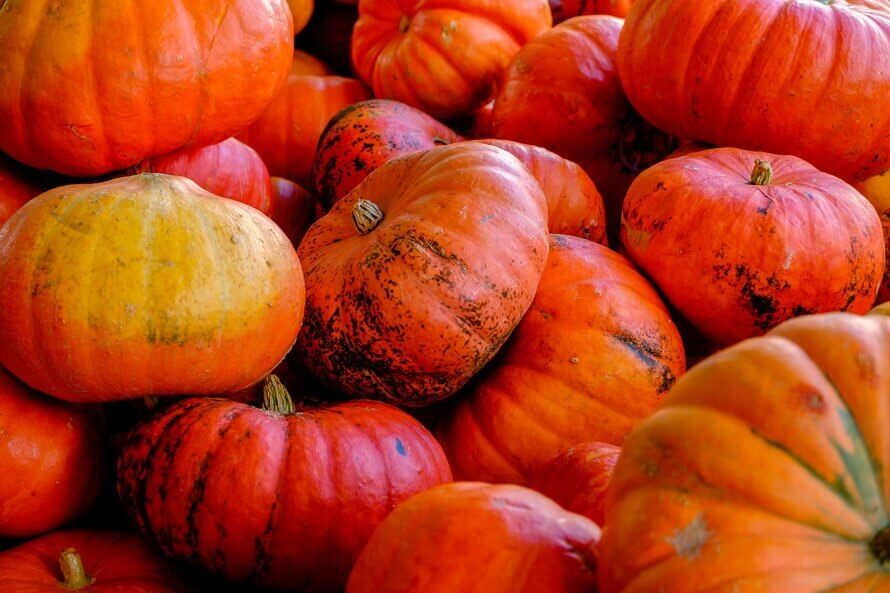 5 Halloween Safety Tips: Make Your Home Safer and Your Kids Too