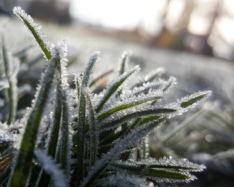 Kids Stuck Inside on a Snow Day? Check Your Home for Hazards